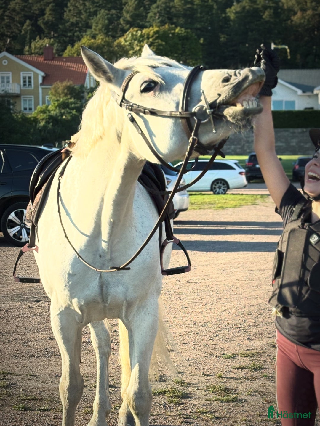 Galleribild {{count}}