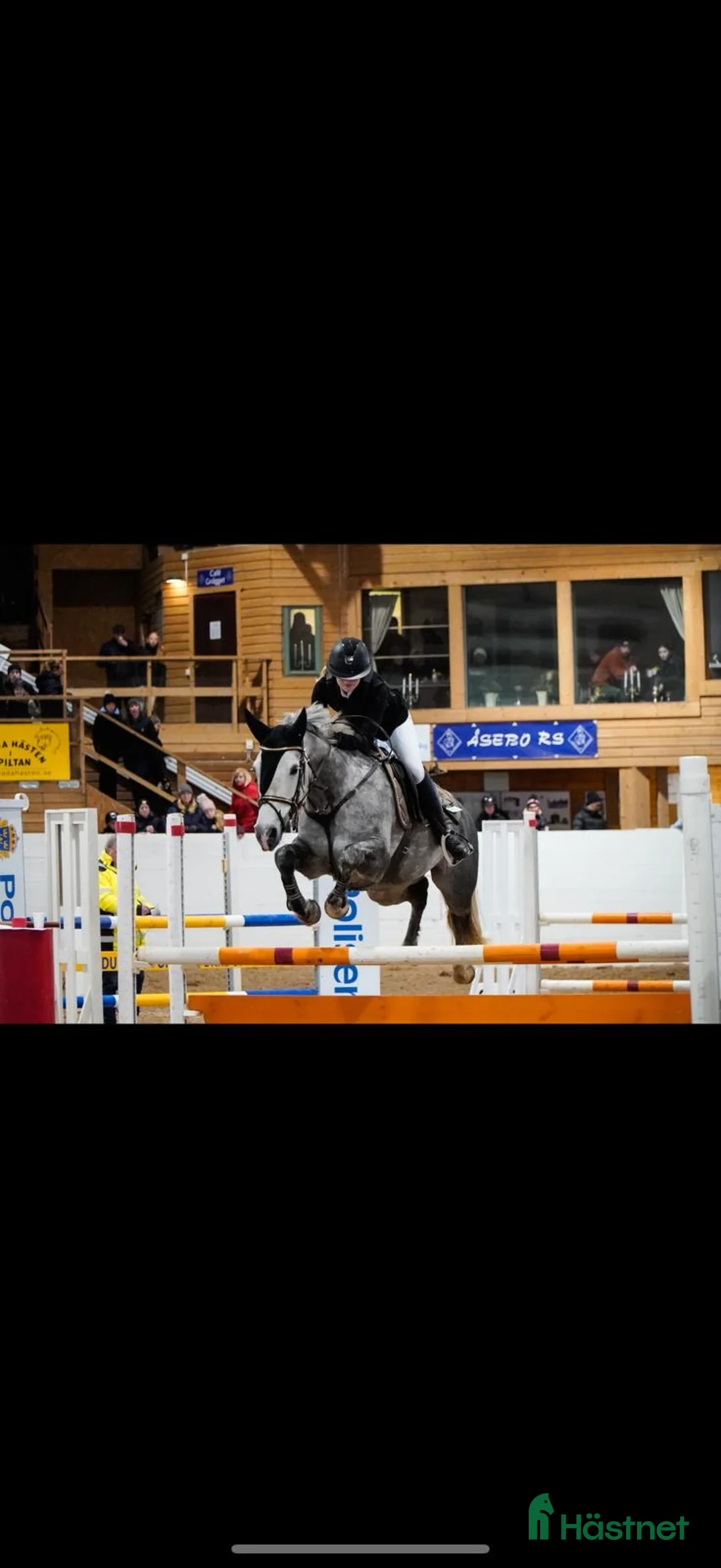 Hoppning hästar till salu: 🌟 Lilly – Tävlingsponny med LA + meriter  i Avesta - Annons 1