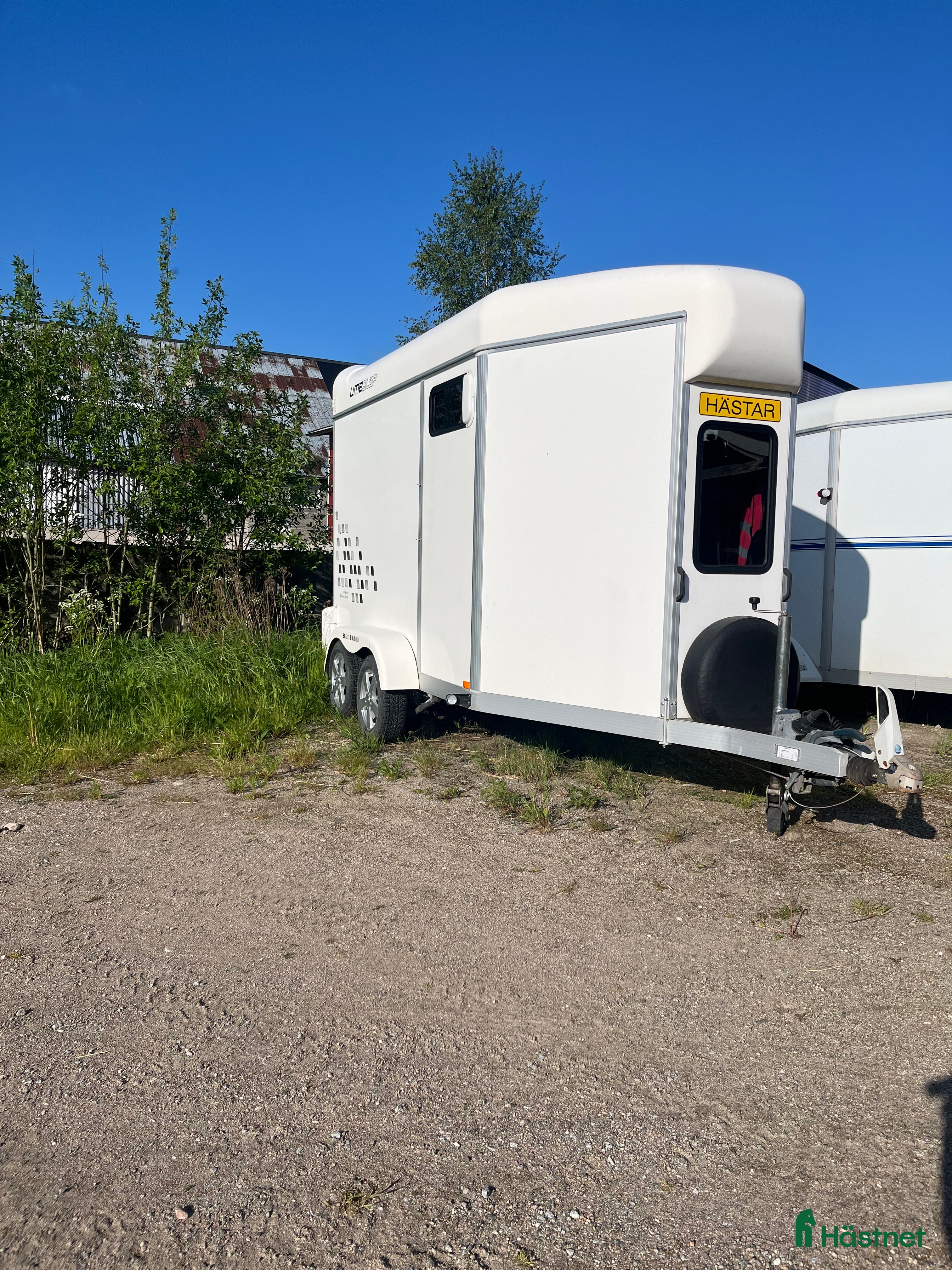Hästtransporter  fordon & transport till salu: Umesläp B60 i Hudiksvall - Annons 17