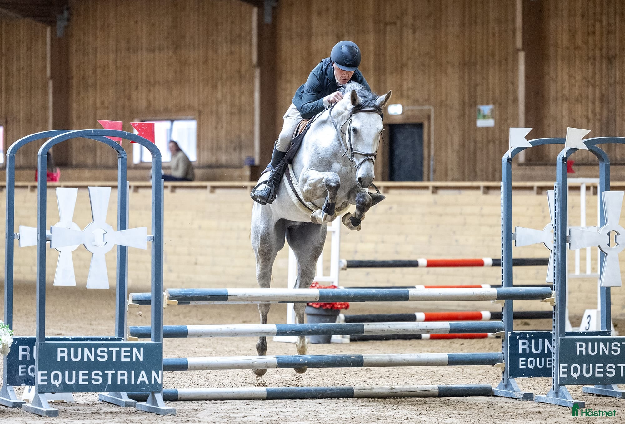  hästar Lovande unghäst - Annons 8