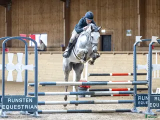 hästar Lovande unghäst - Annons 8