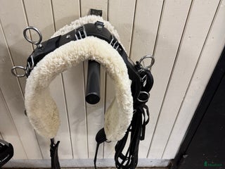 Övrig Hästutrustning hästutrustning till salu: Tömkörningsgjord + tömmar i Älvsjö - Annons 1