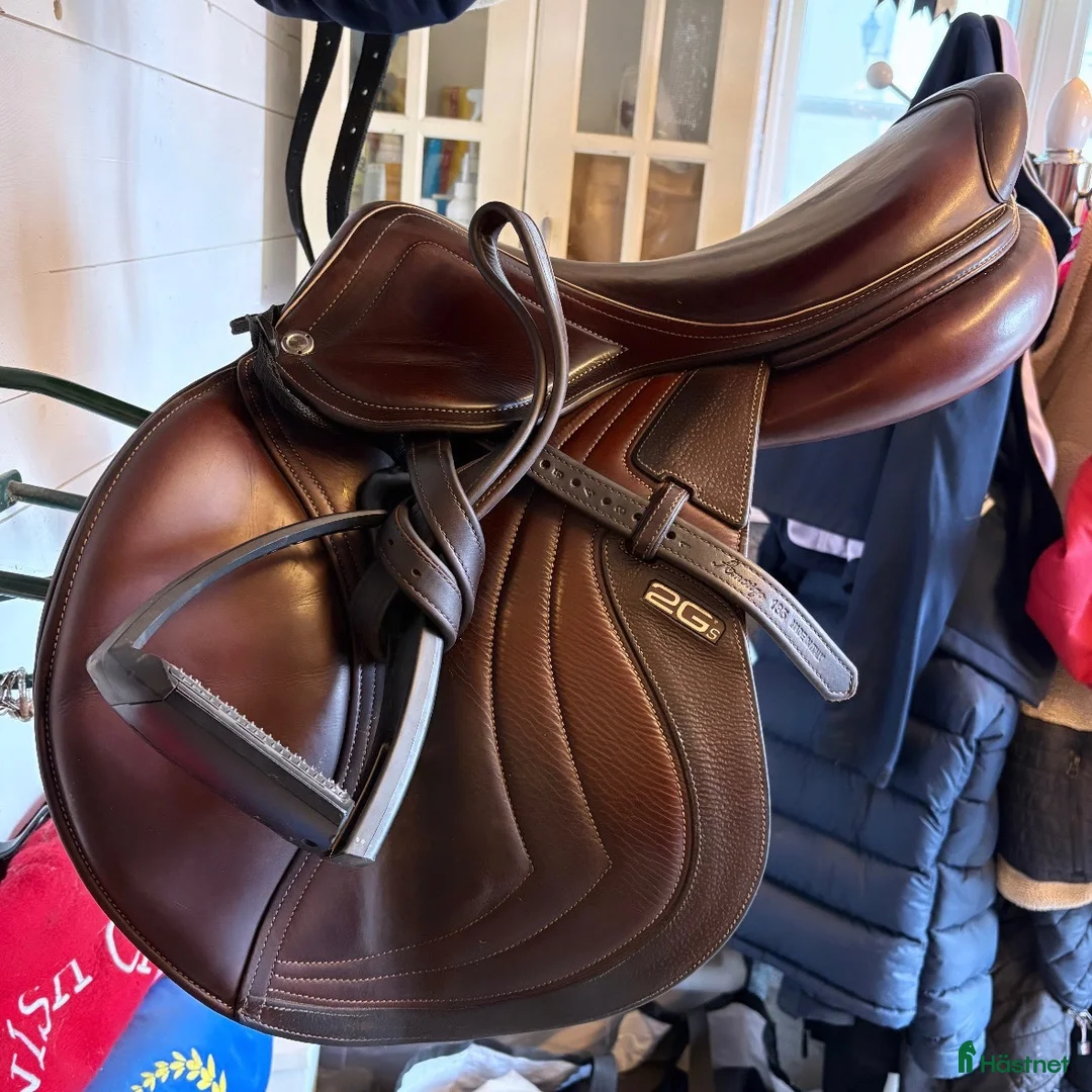 Sadlar hästutrustning till salu: CWD mademoiselle - Annons 1