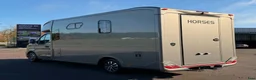 Hästlastbilar  fordon & transport till salu: PARAGAN EXCELSION 5XL STUTERI  - Annons 15