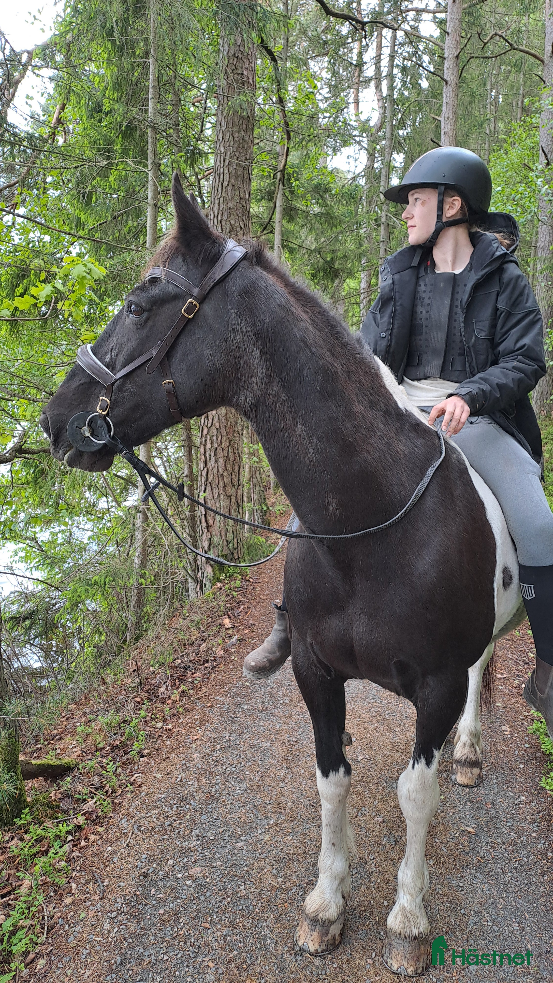  medryttarhäst finnes: Medryttare sökes till vår D-ponny Lottie i Landvetter - Annons 1