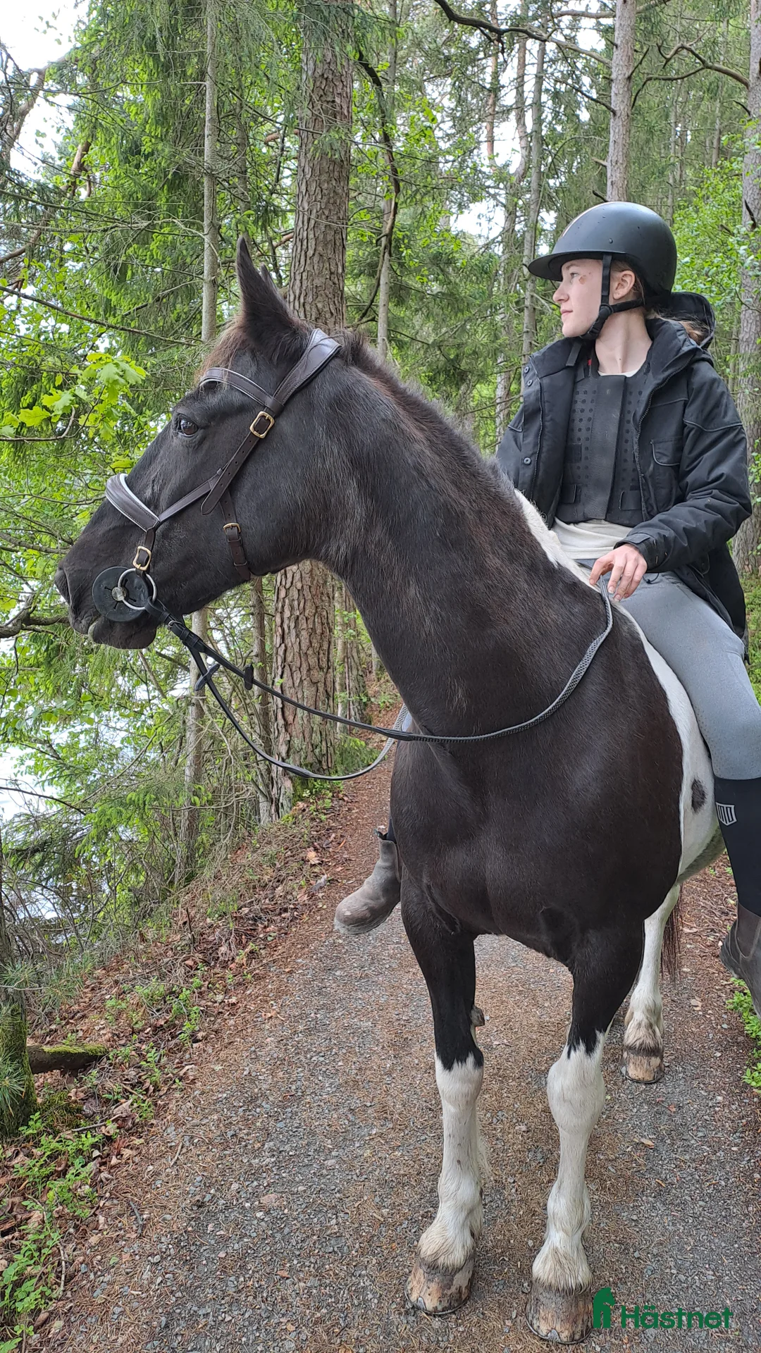  medryttarhäst finnes: Medryttare sökes till vår D-ponny Lottie i Landvetter - Annons 1
