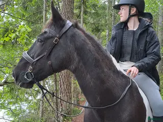 medryttarhäst finnes: Medryttare sökes till vår D-ponny Lottie i Landvetter - Annons 17