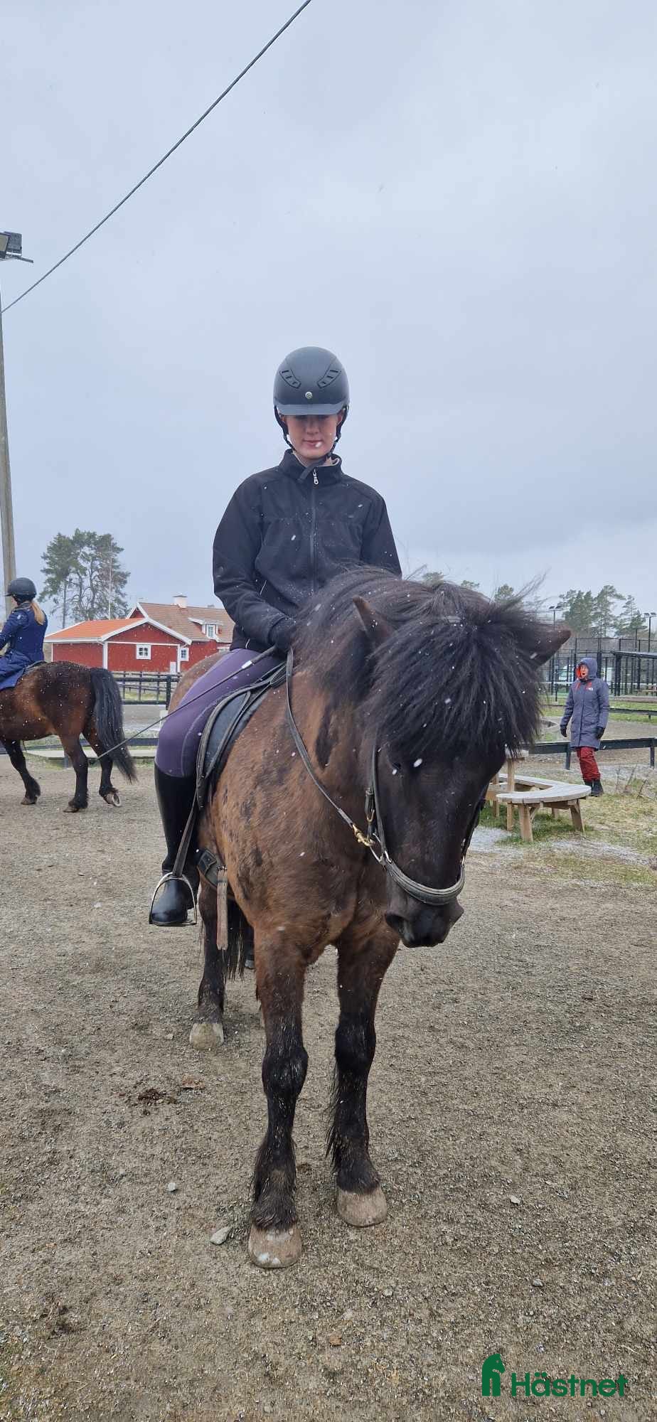  medryttarhäst sökes: Medryttarhäst sökes👀-Uppsala i Uppsala - Annons 5