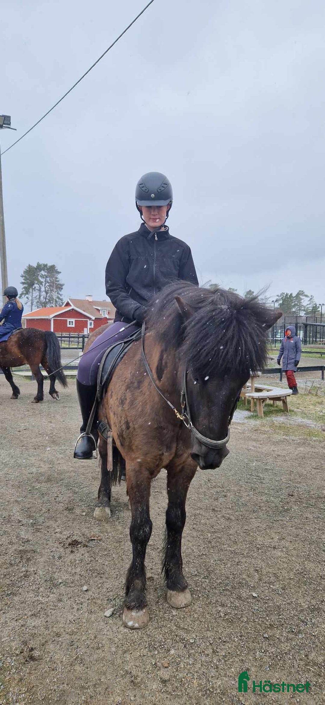  medryttarhäst sökes: Medryttarhäst sökes👀-Uppsala i Uppsala - Annons 1
