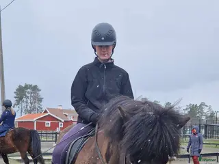 medryttarhäst sökes: Medryttarhäst sökes👀-Uppsala i Uppsala - Annons 17