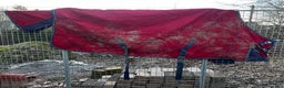 Täcken hästutrustning till salu: Weatherbeeta utetäcke i Kvicksund - Annons 2