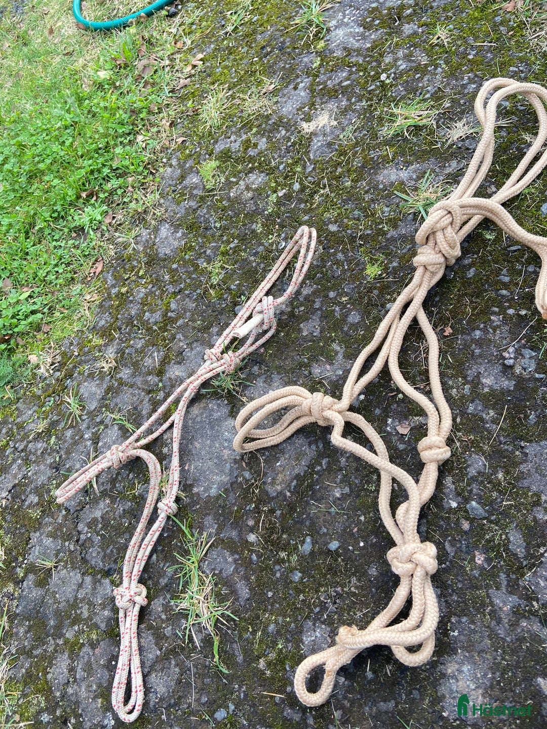 Övrig Hästutrustning hästutrustning till salu: Olika hästgrejer i Skövde - Annons 9