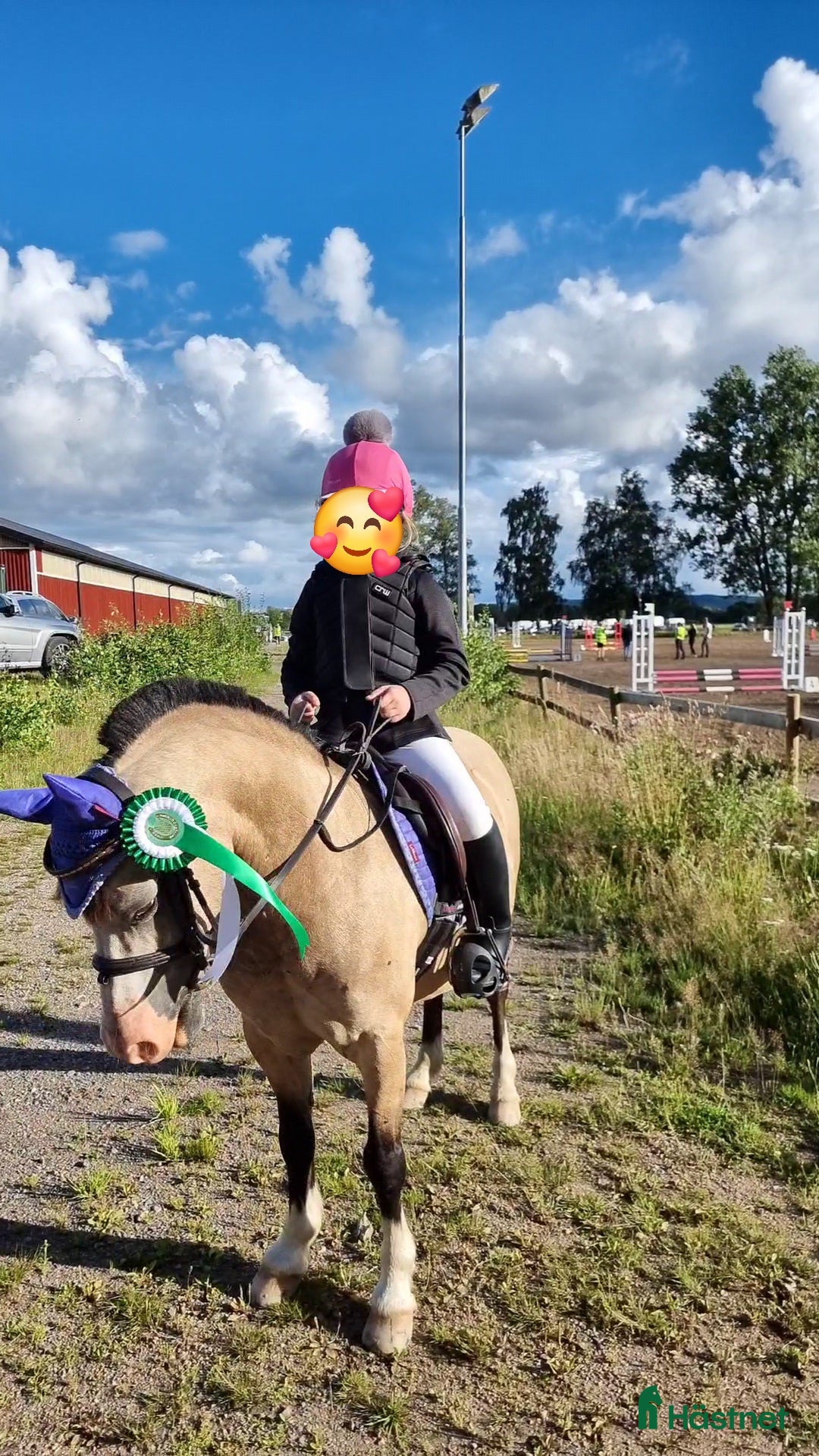  foderhäst B-ponny söker aktiv fodervärd m hästkunnig familj - Annons 5