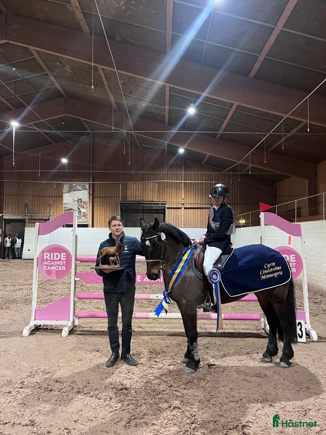 Hoppning hästar till salu: Fantastiska Snapchat i Norrtälje - Annons 2