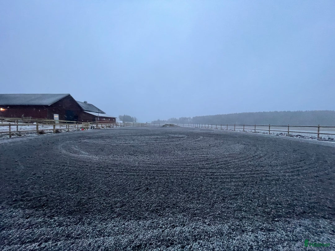  hästservice finnes: Söker dig som vill driva hästverksamhet hos oss!  i Nyköping - Annons 9