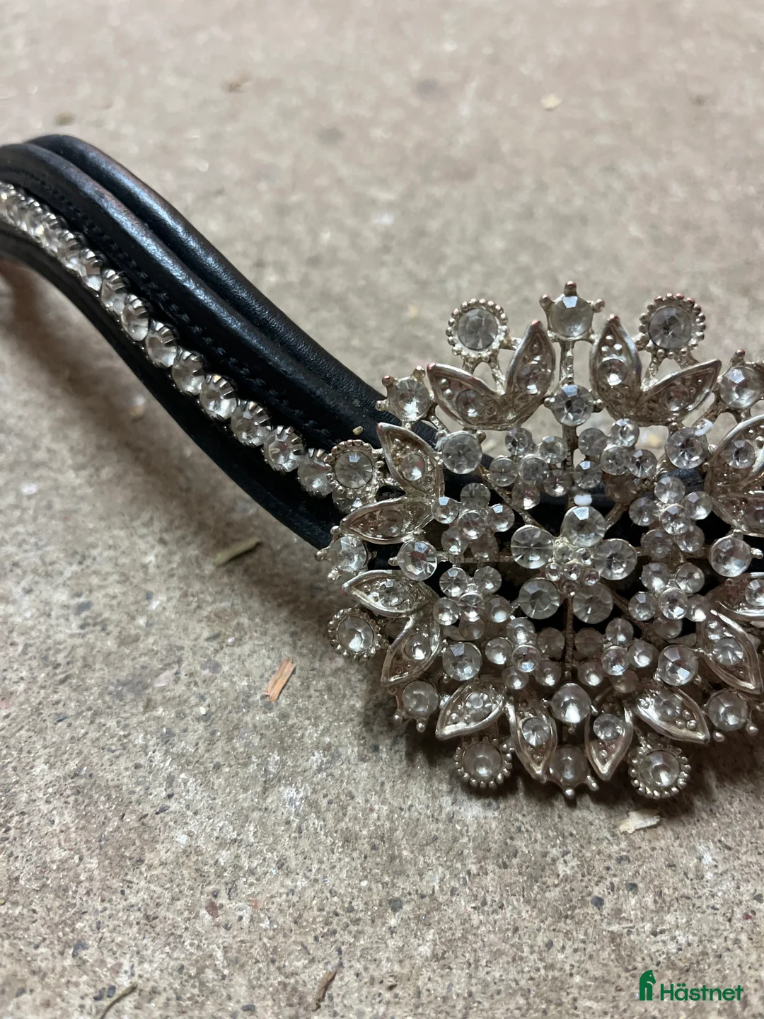 Träns hästutrustning till salu: Divoyh pannband  i Örebro - Annons 3