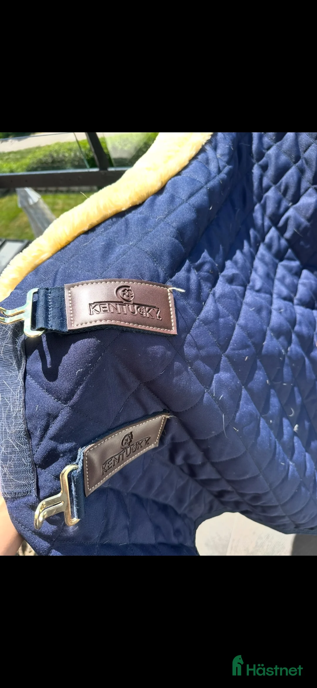Täcken hästutrustning till salu: Kentucky show rug - Annons 2