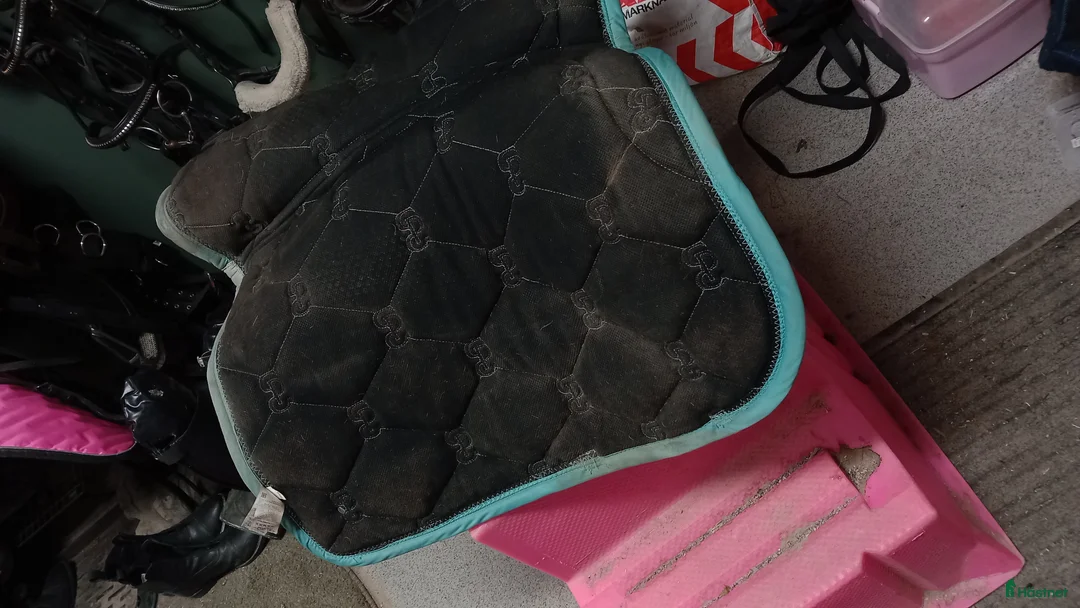 Schabrak & Vojlockar hästutrustning till salu: Schabrak 350kr i Arboga - Annons 5