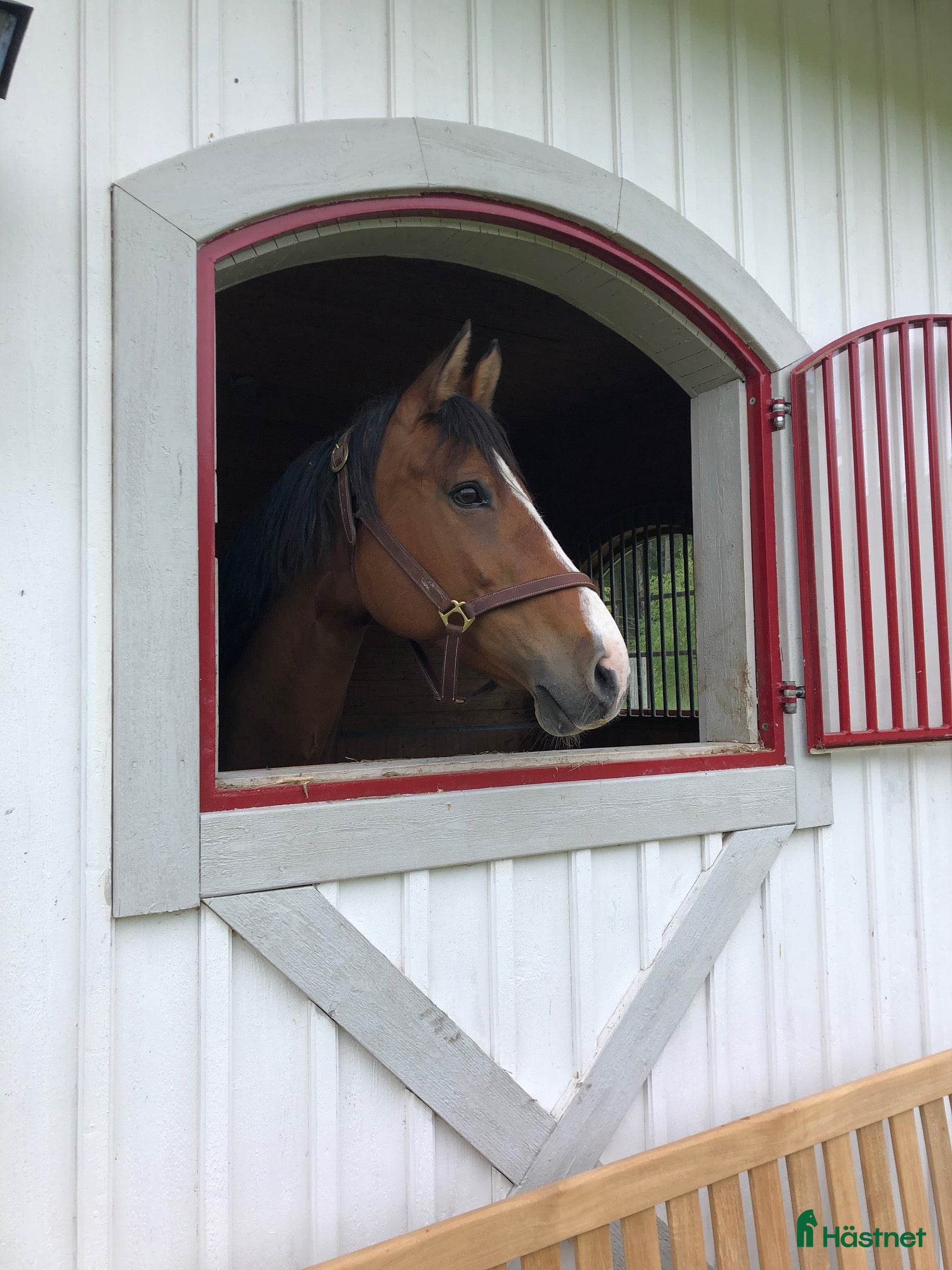  stallplats Uthyres stall med lösdrift - Strängnäs/Björsund i Strängnäs - Annons 15