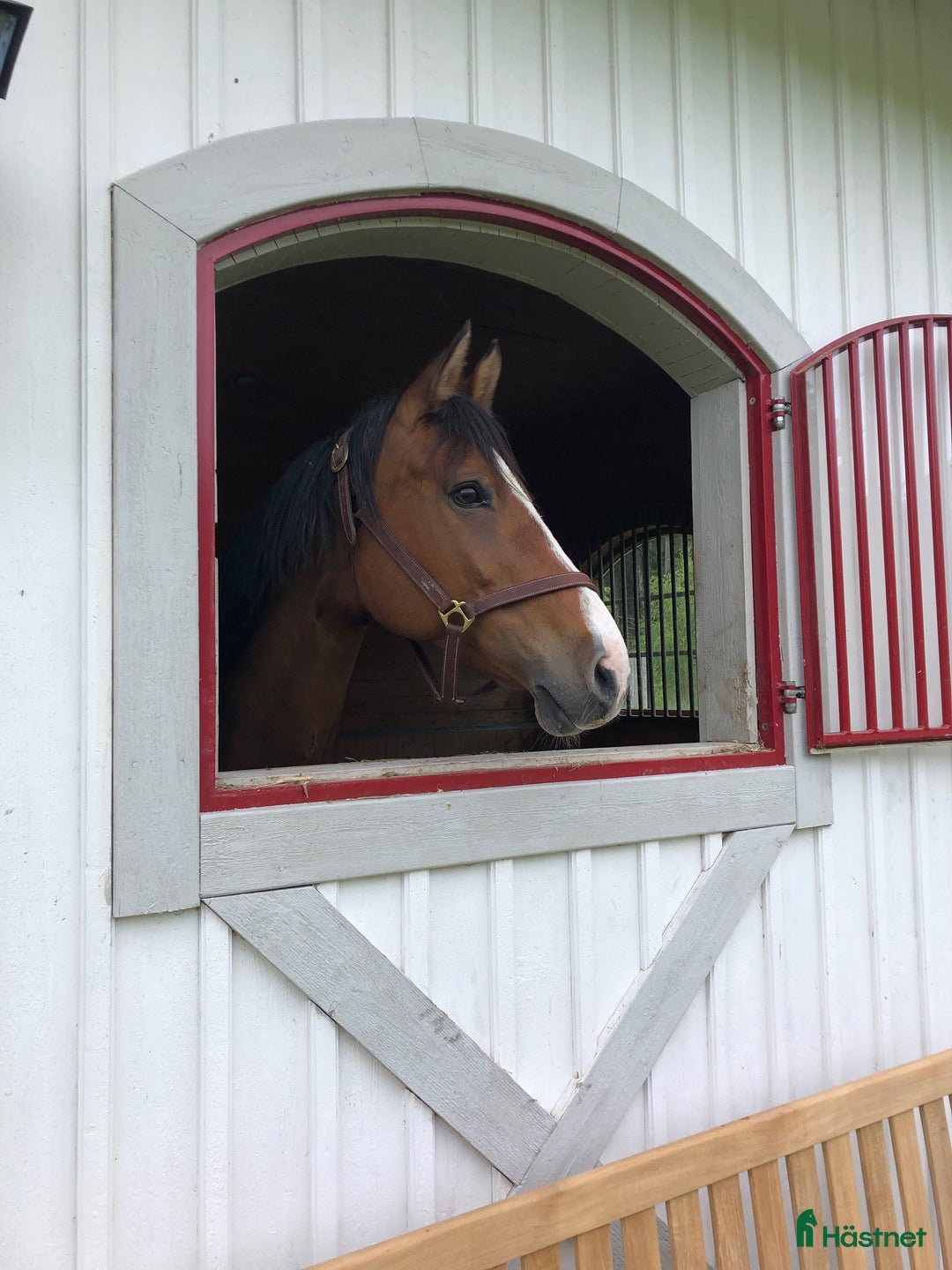  stallplats finnes: Uthyres stall med lösdrift - Strängnäs/Björsund i Strängnäs - Annons 1