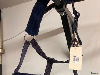 Övrig Hästutrustning hästutrustning till salu: Oanvänd ponny grimma i Holsbybrunn - Annons 23