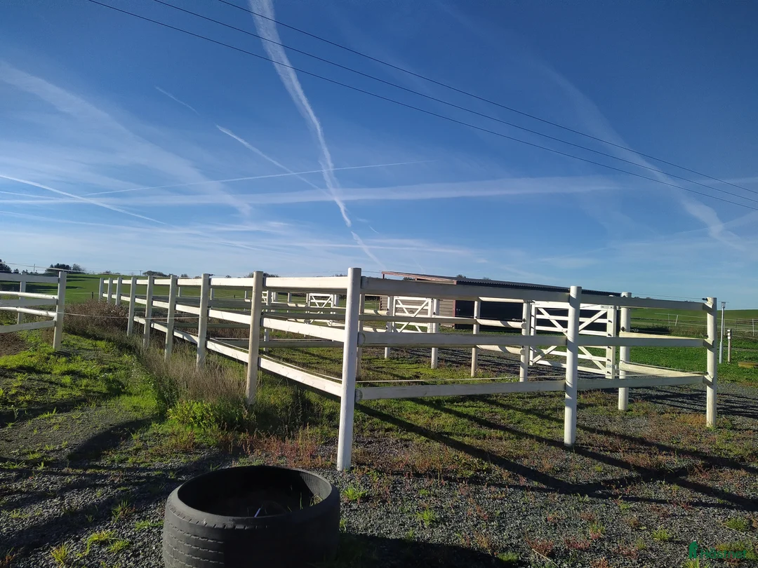  stallplats finnes: Hästboxar att hyra på en fantastisk tomt.  i Tomelilla - Annons 19