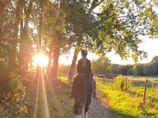 foderhäst Foderponny sökes!!! i Karlstad - Annons 18