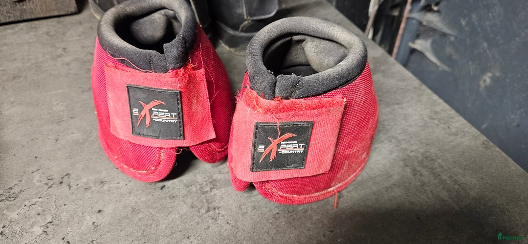 Benskydd hästutrustning till salu: Benskydd och boots i Skärblacka - Annons 2