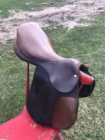 Sadlar hästutrustning till salu: Pariani sadel - Annons 1