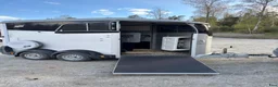 Hästtransporter  fordon & transport till salu: Ifor Willams HBX 506 med sadelkammare - Annons 6