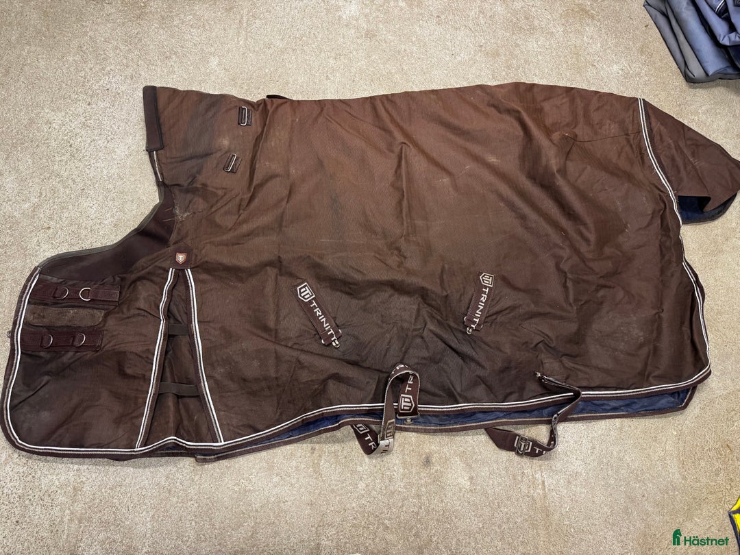 Täcken hästutrustning till salu: Täcken - Annons 4