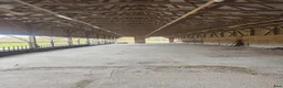  stallplats finnes: Lösdriftsstall med bete och verkstad uthyres - Annons 4