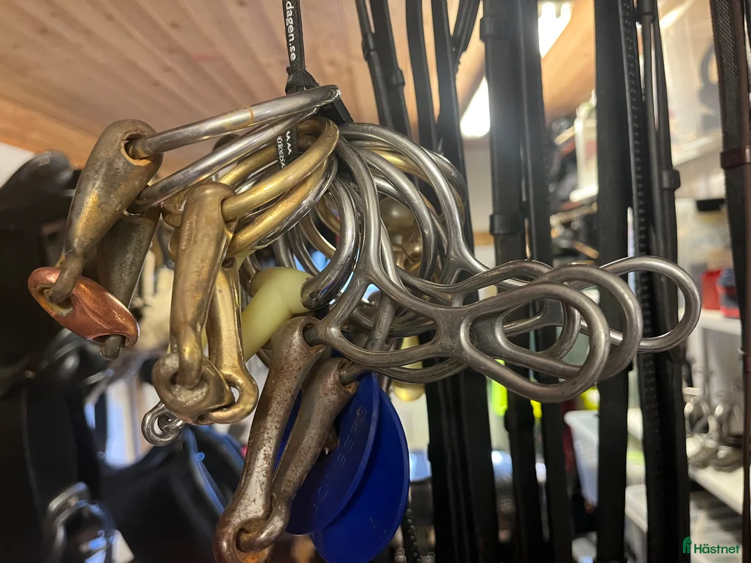 Sadlar hästutrustning till salu: Sadlar och annan utrustning till Islandshäst i Lerum - Annons 9