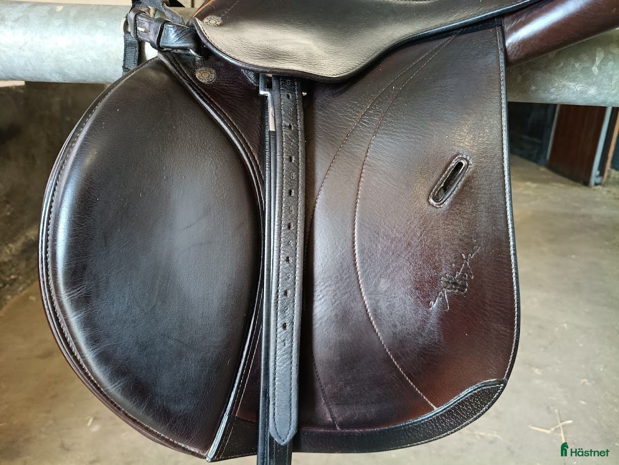 Sadlar hästutrustning Jättefin brun Equipe Expression Special  - Annons 5