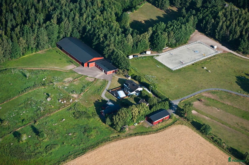  stallplats Lediga stallplatser i Sjögestad - Annons 15