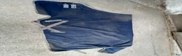 Täcken hästutrustning till salu: Horseware 155, 160cm - Annons 8