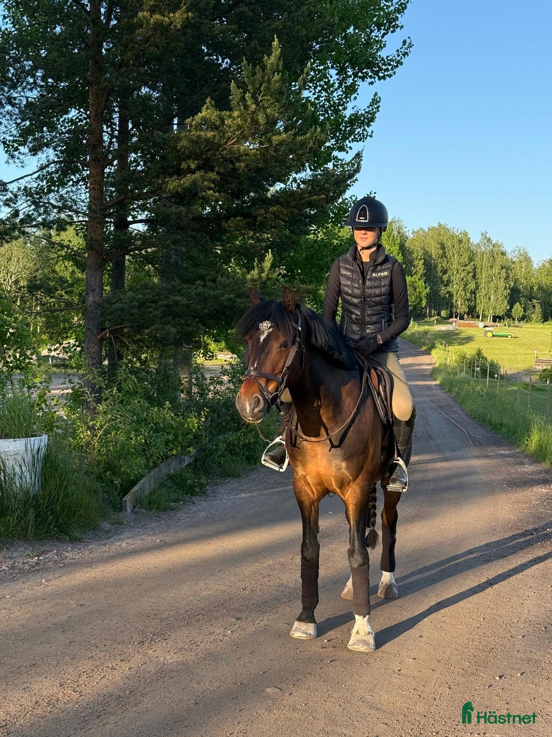 Fälttävlan hästar till salu: SM-placerad, meriterad Fälttävlansponny i Örsundsbro - Annons 5