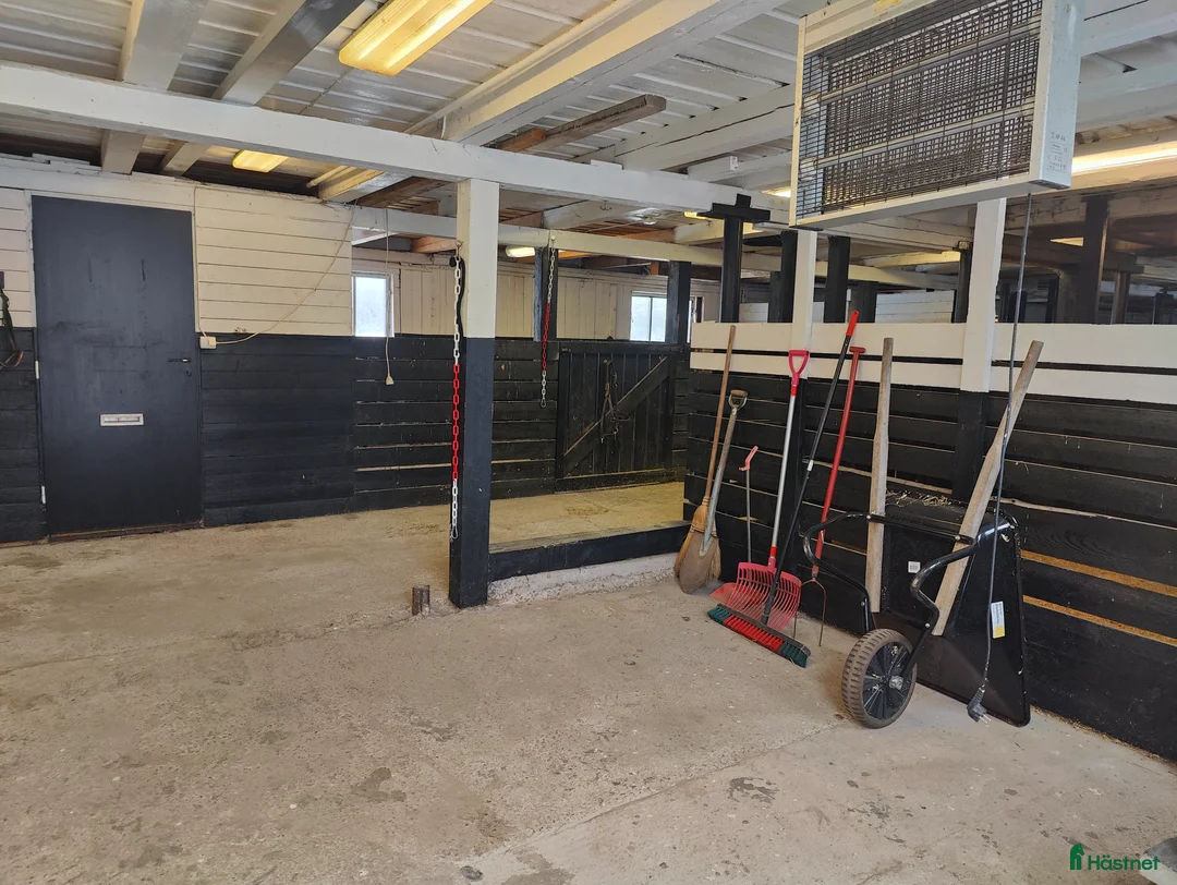  stallplats finnes: Stallplats i Koverhult i Mönsterås - Annons 2