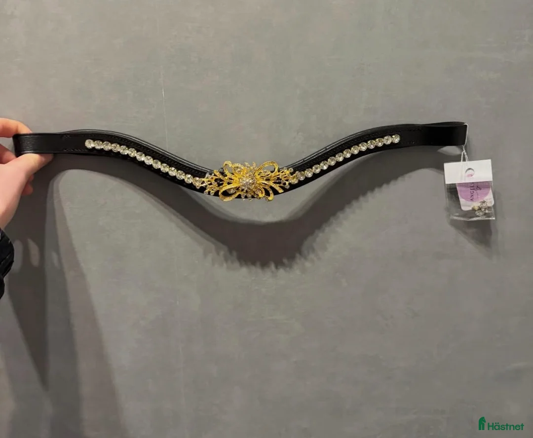 Övrig Hästutrustning hästutrustning till salu: Guld pannband Full - Annons 1