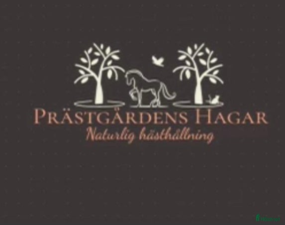  stallplats Ledig lösdrift och box i väring  - Annons 6