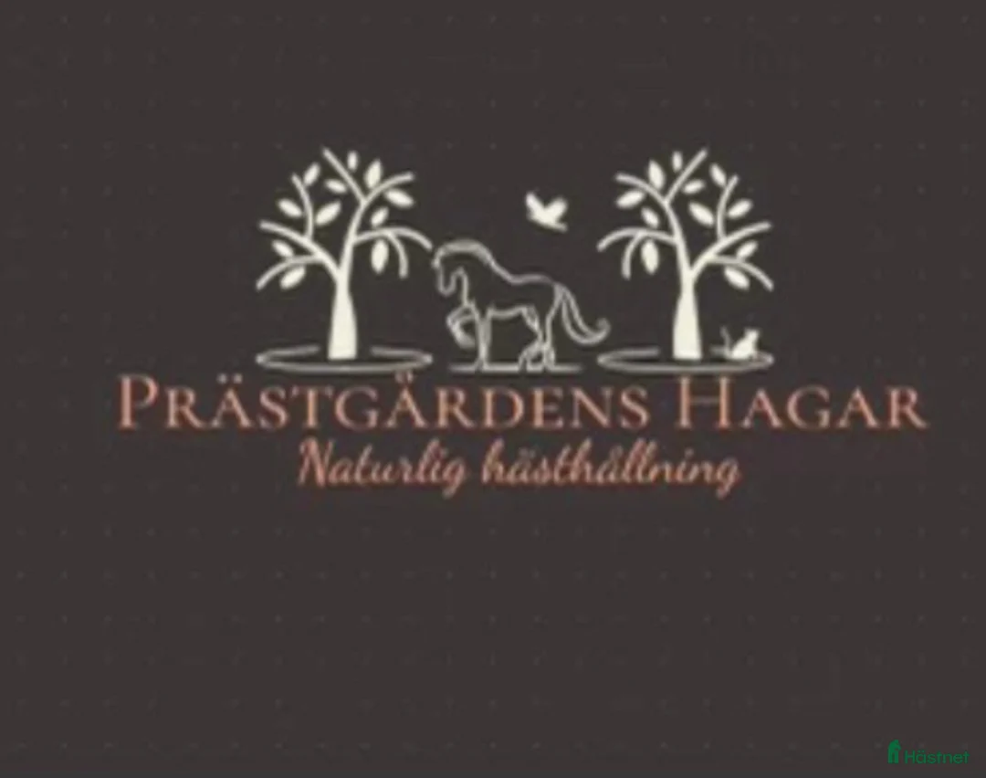  stallplats finnes: Ledig lösdrift och box i väring  - Annons 1