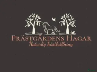 stallplats Ledig lösdrift och box i väring - Annons 6