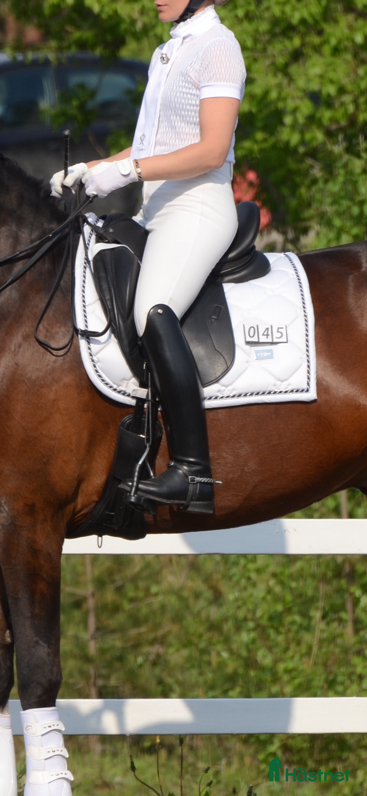 Sadlar hästutrustning Sadel till den högställda hästen - Annons 2