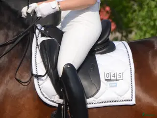 Sadlar hästutrustning Sadel till den högställda hästen - Annons 2