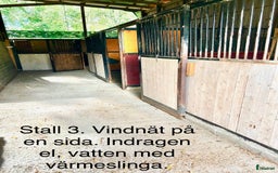  hästgårdar till salu: Perfekt för verksamhet / inackordering i Kopparberg - Bild 13