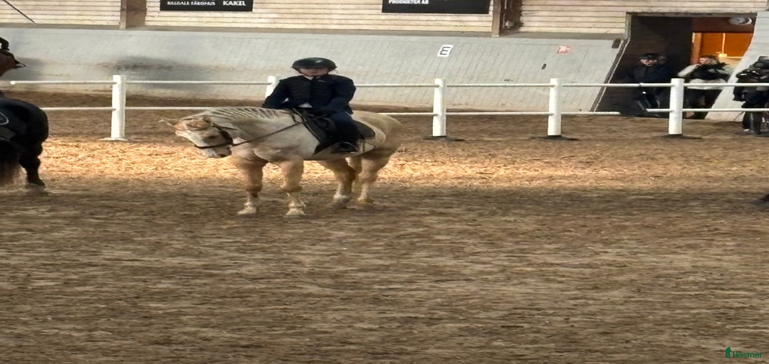 Galleribild {{count}}