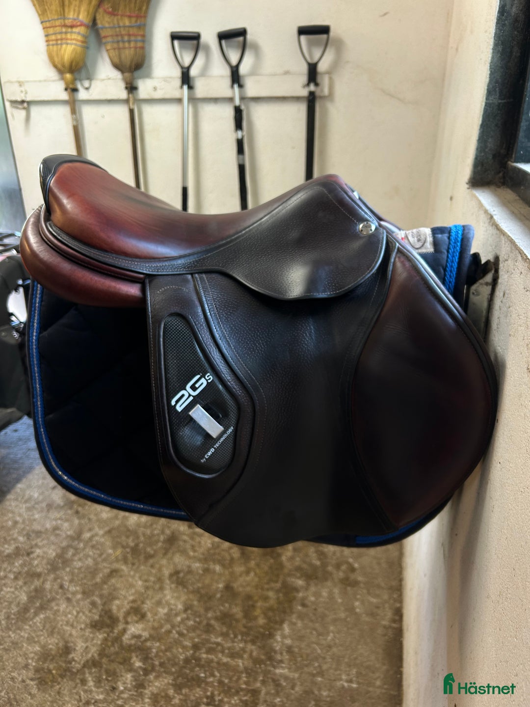 Sadlar hästutrustning till salu: Cwd 2GS i Olsfors - Annons 5