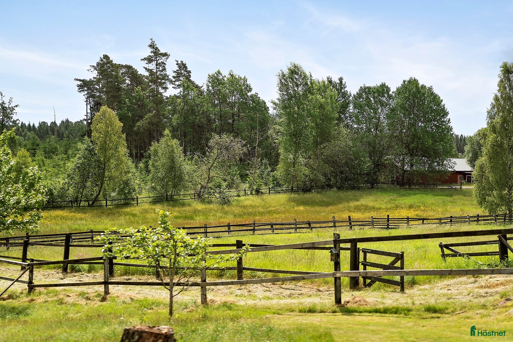  stallplats Sommarbete finnes i Vårgårda  - Annons 11