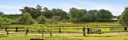  stallplats finnes: Sommarbete finnes i Vårgårda  i Vårgårda - Annons 1