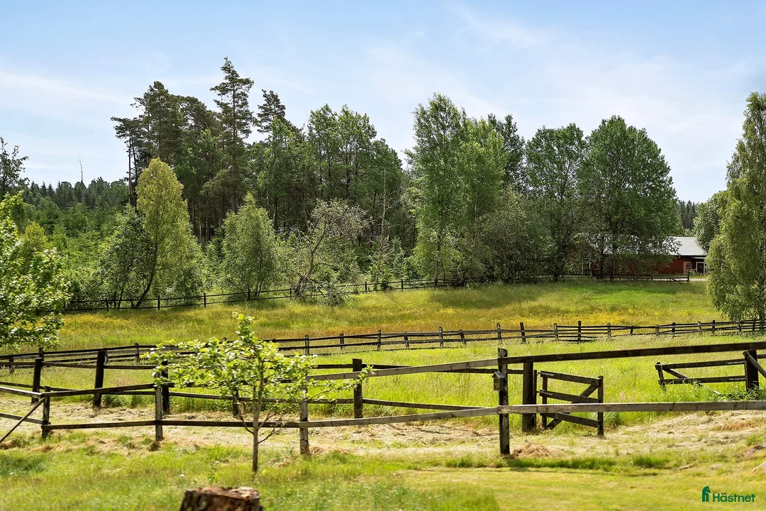  stallplats finnes: Sommarbete finnes i Vårgårda  i Vårgårda - Annons 1